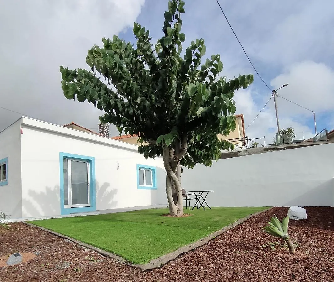 Villa Madeira Blue House Calheta